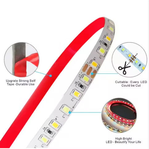 Nhà máy bán hai màu CCT dẫn dắt dải ánh sáng 24v Nhiệt độ màu sắc điều chỉnh 120 led 12v ánh sáng 2835 dẫn dải trang trí