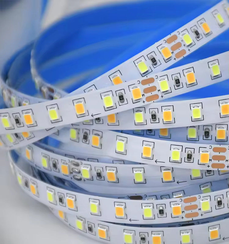 Nhà máy bán hai màu CCT dẫn dắt dải ánh sáng 24v Nhiệt độ màu sắc điều chỉnh 120 led 12v ánh sáng 2835 dẫn dải trang trí