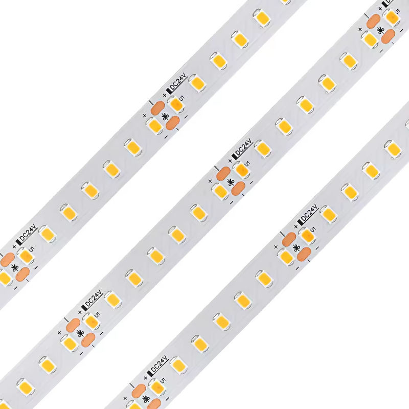 CRI cao 98 Full Spectrum Long Life 120leds / M Dc24v 10mm 120led Smd 2835 Đèn dải LED trang trí trong nhà