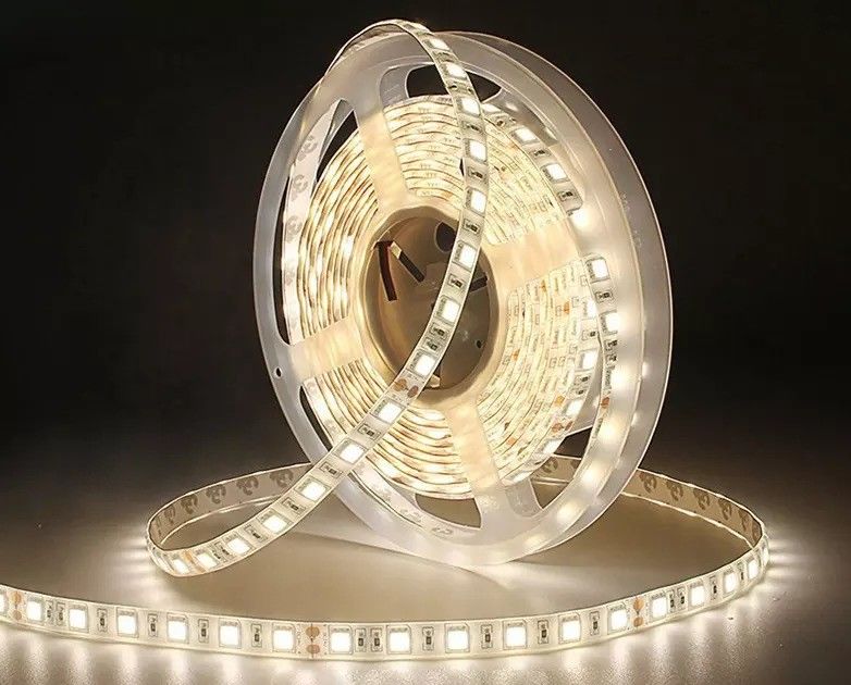 12w 12v 24v 10mm 60 đèn LED Rgb 5050 Smd Dải đèn LED linh hoạt với và nhiều màu sắc