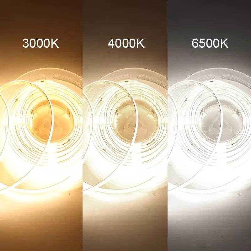 Đèn Neon CCT có thể tùy biến RGBW RGBW RGBIC RGB cho ánh sáng ngoài trời 50000 giờ làm việc