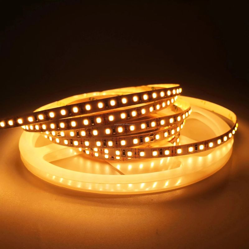 Đèn trang trí cảnh quan 5m 10m 12v 24v 220v Rgbw Cob Light Strip