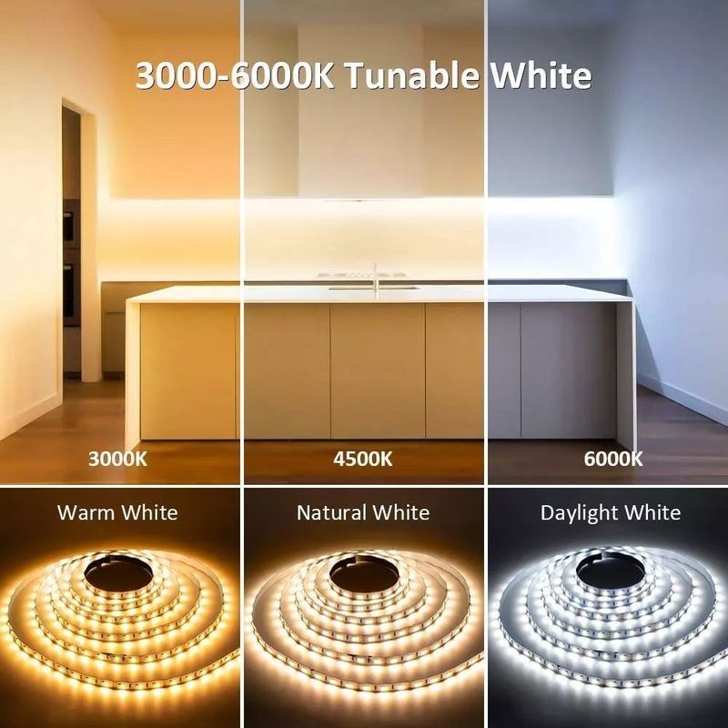 Đèn trang trí cảnh quan 5m 10m 12v 24v 220v Rgbw Cob Light Strip
